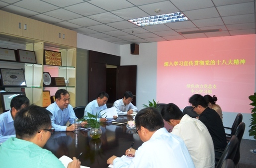 KY开元集团党总支组织学习十八大精神